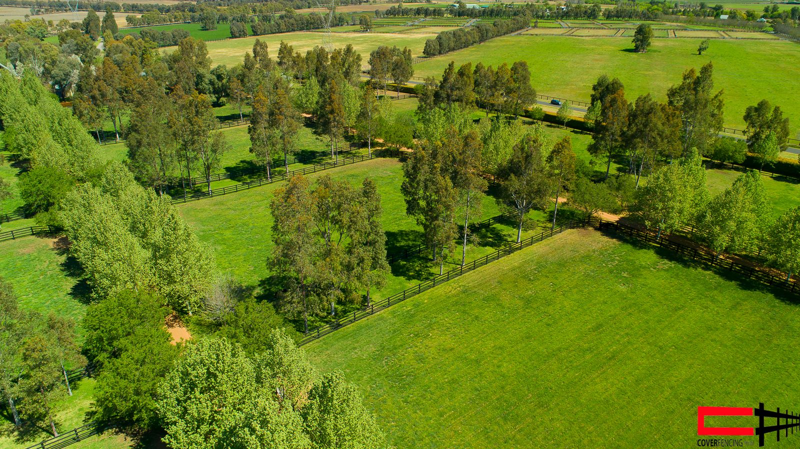 Tree-lined paddock fencing on a rural property