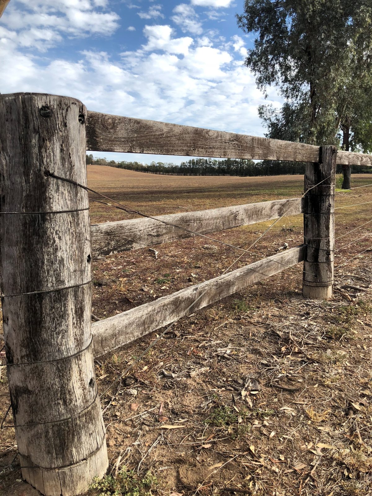 Traditional timber post-and-rail fencing with wire cross-bracing, 30 years old