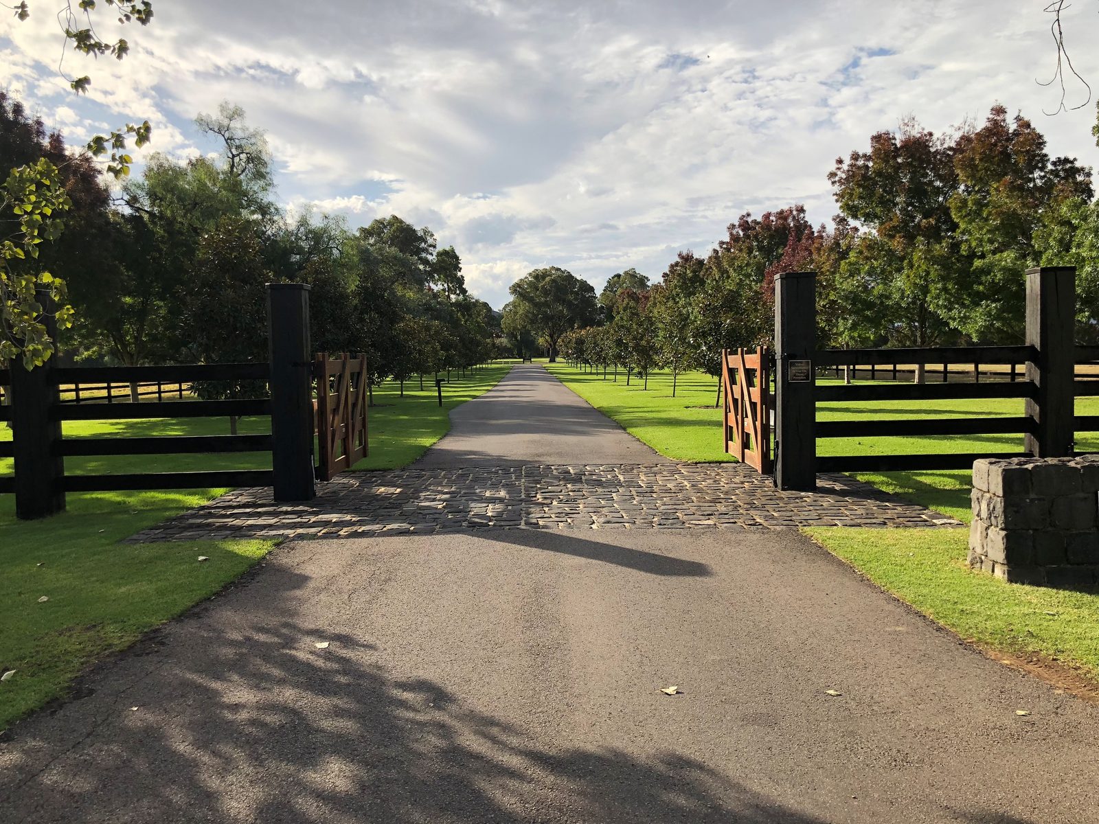 Entrance gate and driveway at Darley's Kelvinside Stud, lined with post-and-rail fencing