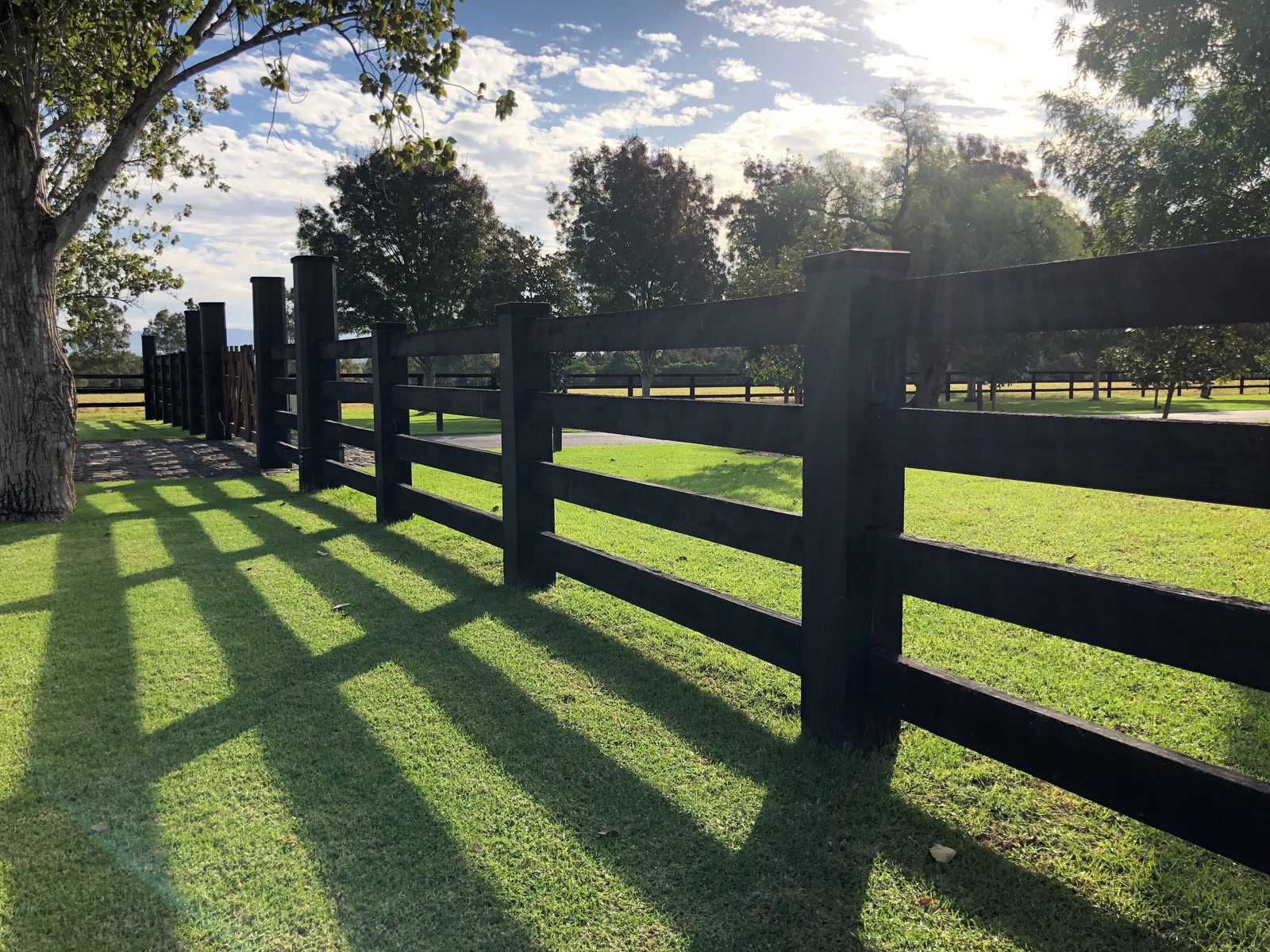 Sunlit black post-and-rail fence line at Darley's Kelvinside Stud