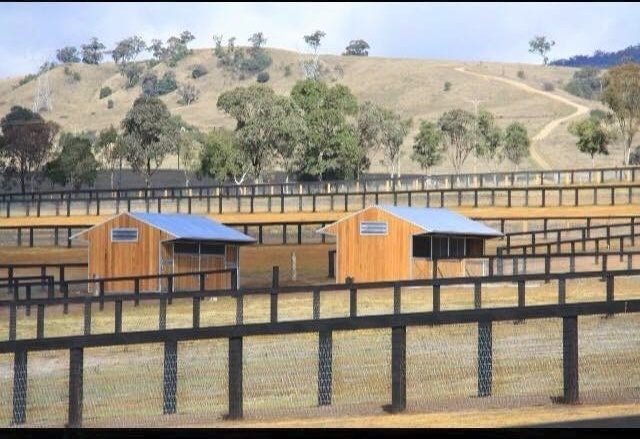 Steel yard panels and shelters at Segenhoe Stud, with hills behind