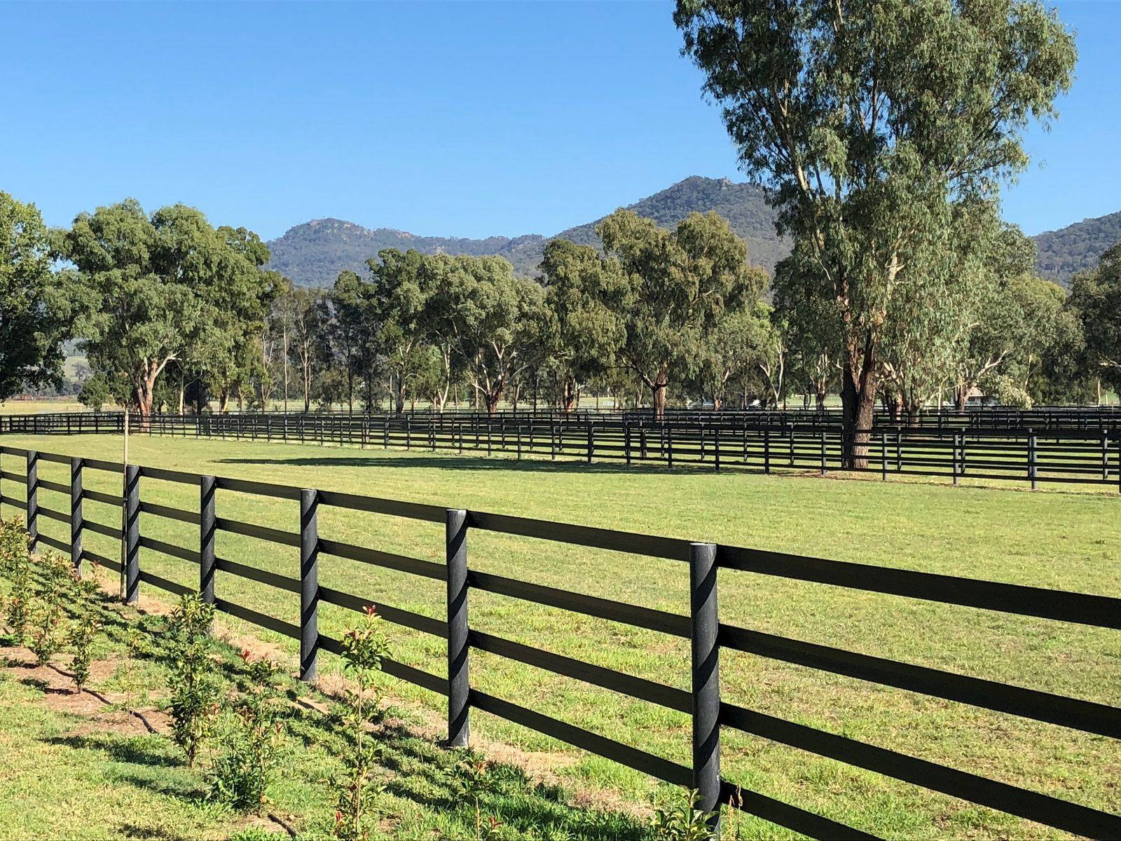 Post-and-rail fenced stallion yards at Widden Stud with mountains behind