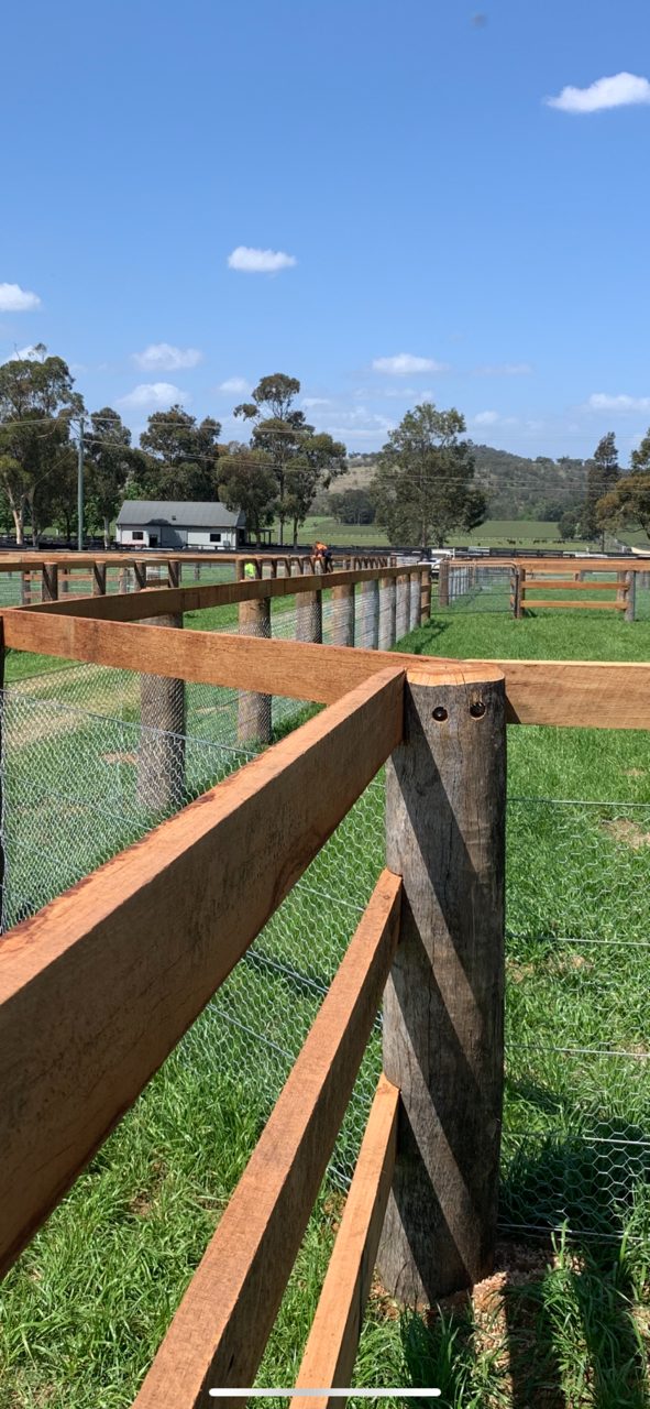 Cover Fencing crew building new post-and-rail fencing with wire mesh backing at Coolmore
