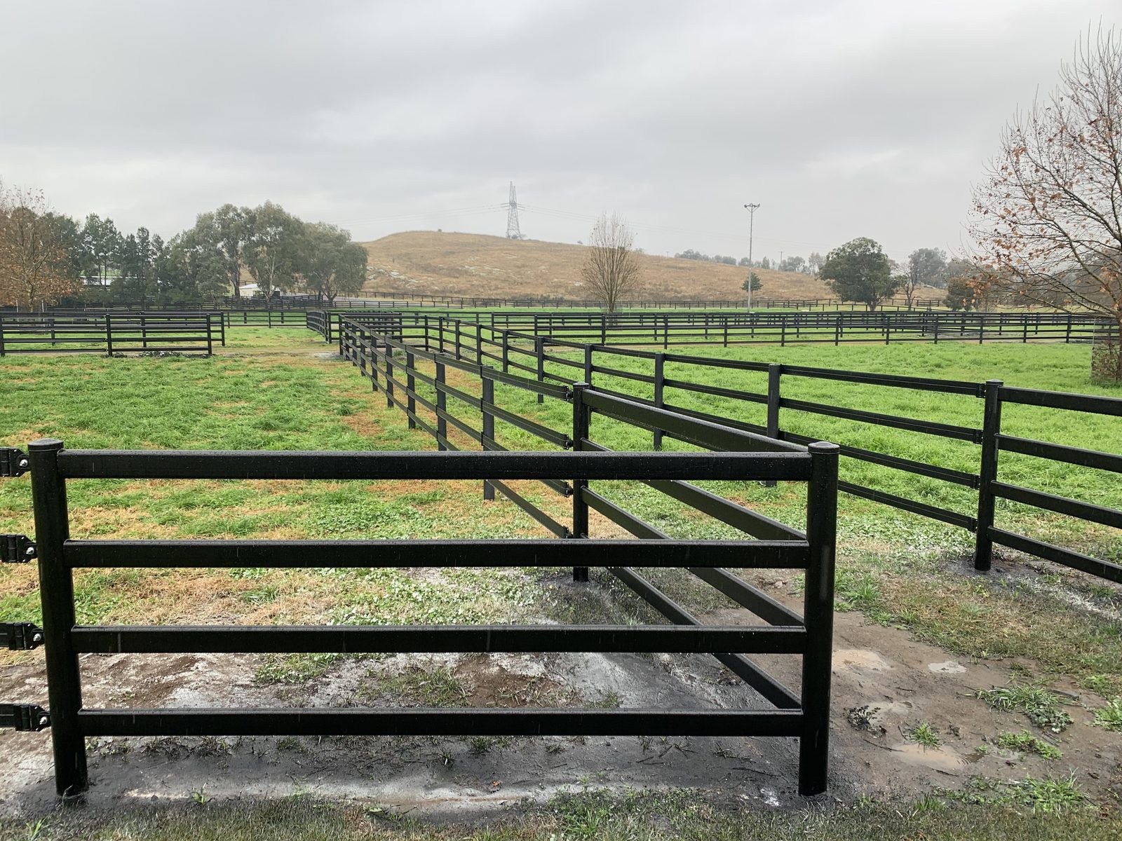 Black steel post-and-rail fencing
